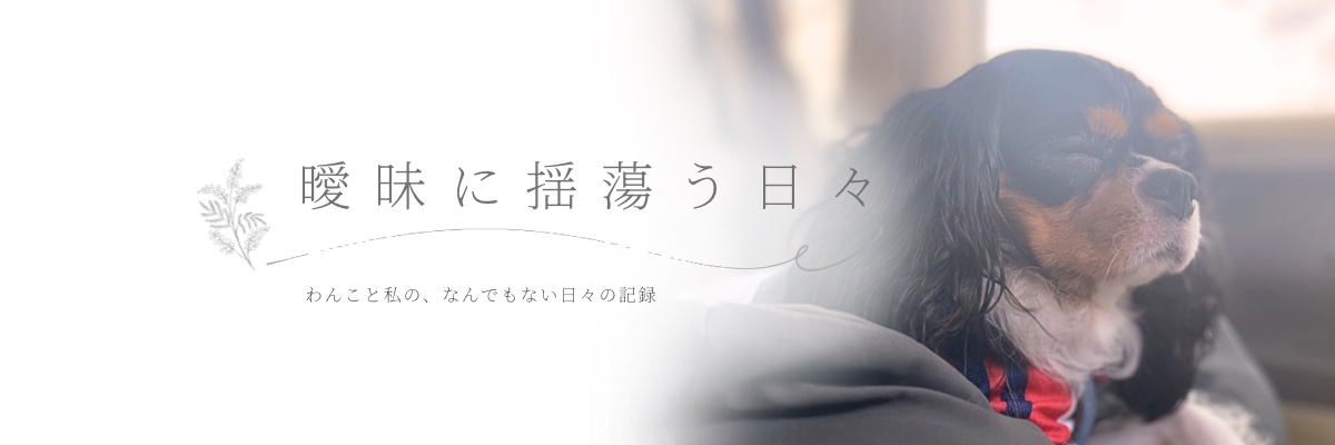 曖昧に揺蕩う日々